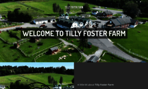 Putnamtillyfoster.com thumbnail