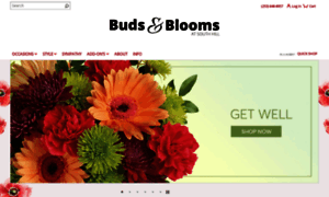 Puyallupbudsandblooms.com thumbnail