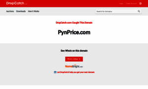 Pynprice.com thumbnail