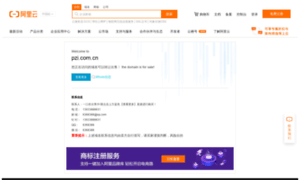 Pzi.com.cn thumbnail