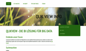 Qlikview-info.de thumbnail