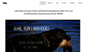 Quailrunlabs.com thumbnail