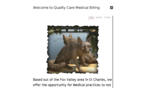 Qualitycaremedicalbilling.com thumbnail