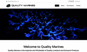 Qualitymarines.co.za thumbnail