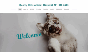 Quarryhillsvet.com thumbnail