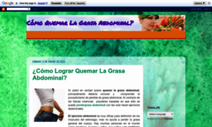 Quemarlagrasaabdominalahora.blogspot.com thumbnail