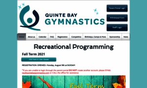 Quintebaygymnastics.com thumbnail