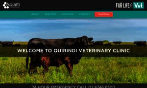 Quirindivetclinic.com.au thumbnail