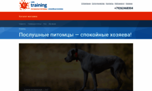 R-training.ru thumbnail