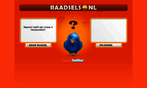 Raadsels.nl thumbnail