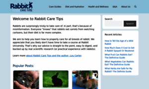 Rabbitcaretips.com thumbnail