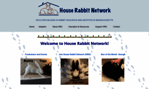 Rabbitnetwork.org thumbnail