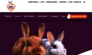 Rabbitwelfare.co.uk thumbnail