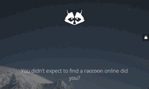 Raccoon.media thumbnail