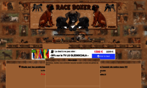 Race-boxer.forumactif.fr thumbnail