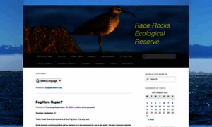 Racerocks.com thumbnail