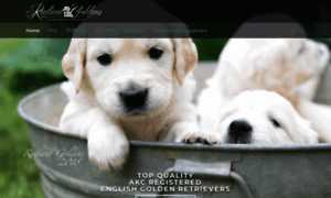 golden retriever puppies for sale chattanooga