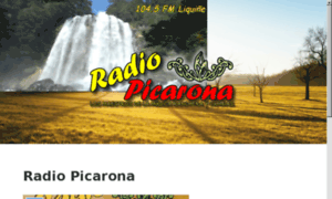 Radiopicarona.cl thumbnail