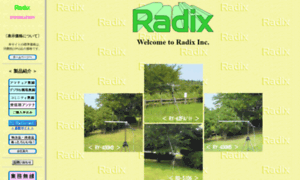 Radix-inc.com thumbnail