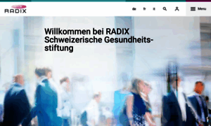 Radix.ch thumbnail