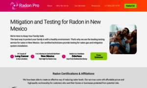 Radonpronm.com thumbnail