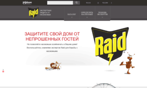 Raid-russia.ru thumbnail