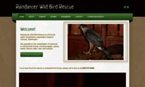 Raindancerwildbirdrescue.org thumbnail