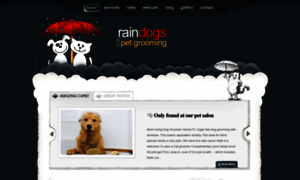 Raindogspetgrooming.com thumbnail