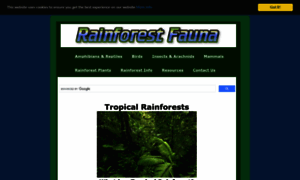 Rainforestfauna.com thumbnail