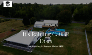 Raining-cats-dogs.com thumbnail