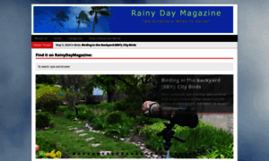 Rainydaymagazine.com thumbnail