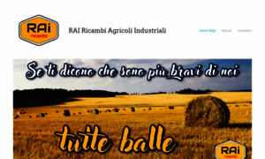 Rairicambiagricoli.it thumbnail