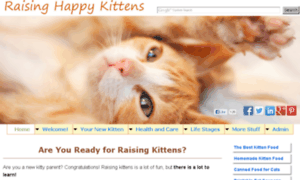 Raising-happy-kittens.com thumbnail