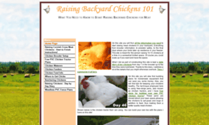 Raisingbackyardchickens101.com thumbnail