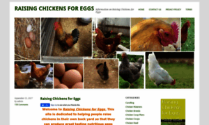 Raisingchickensforeggs.com thumbnail