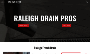 Raleighdrainpros.com thumbnail