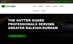 Raleighgutterguards.com thumbnail