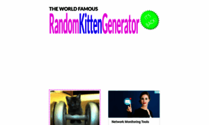 Randomkittengenerator.com thumbnail