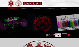 Raolab.org thumbnail
