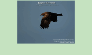 Raptor-research.de thumbnail