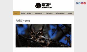 Raptorsarethesolution.org thumbnail