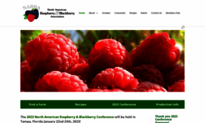Raspberryblackberry.com thumbnail