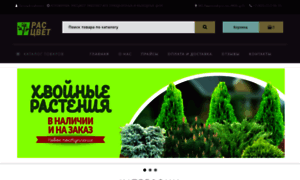 Rassada-optom.ru thumbnail