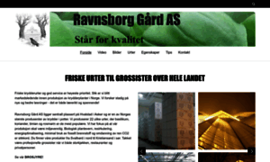 Ravnsborggaard.no thumbnail