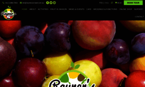 Raynerstonefruit.com.au thumbnail