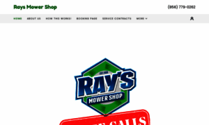 Raysmowershop.com thumbnail