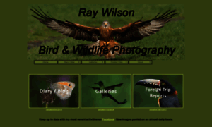 Raywilsonbirdphotography.co.uk thumbnail