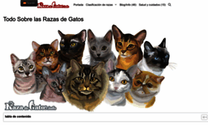 Razadegatos.info thumbnail