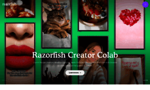 Razorfish.com thumbnail
