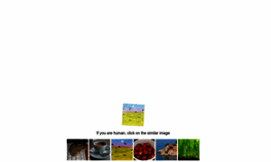 Rb-ochki.ru thumbnail